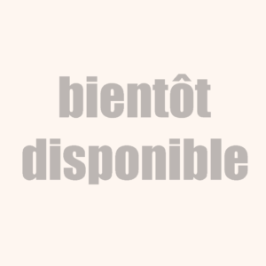 29 - Sushi Crevette (2 pièces)